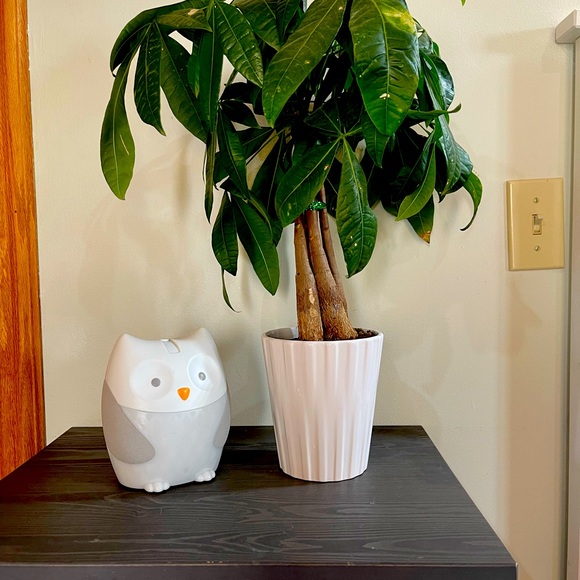 Baby Soother Skip Hop Owl Moonlight & Melodies - Picture 2 of 3